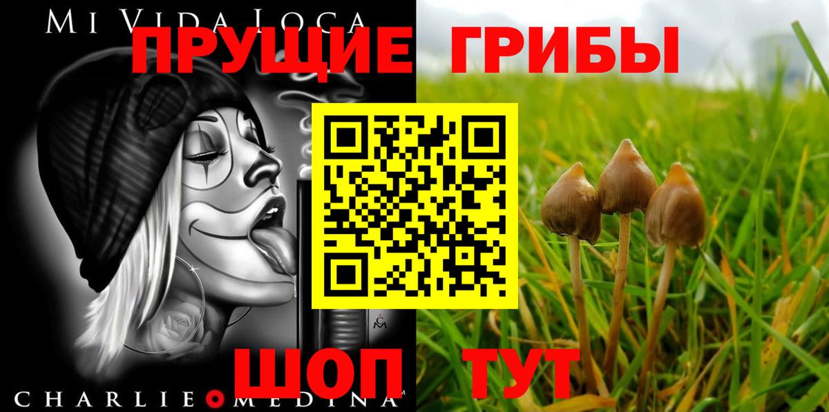 Псилоцибиновые грибы MAGIC MUSHROOMS  Галлюциногенные грибы Psilocybine cubensis  Вход с VPN  Нижневартовск 